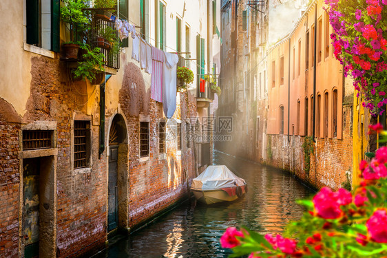 意大利威尼斯运河上的鲜花意大利威尼斯的花图片