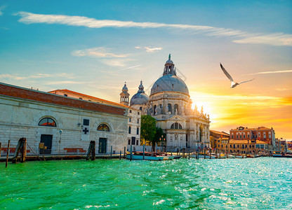 威尼斯大运河上美丽的日落大运河上图片