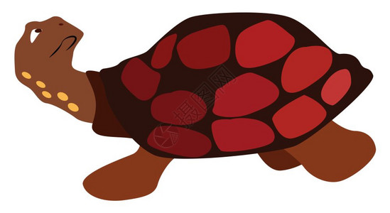 巨型龟插画