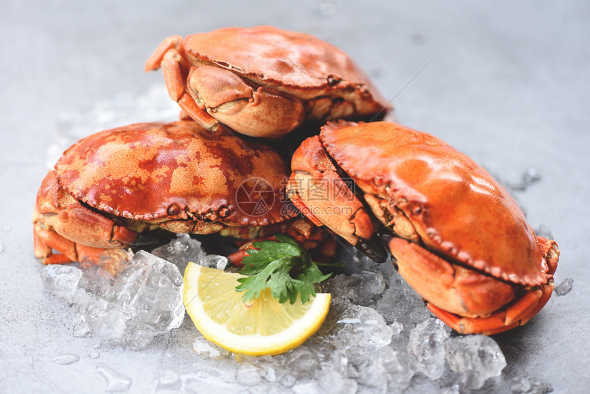 冰上新鲜螃蟹柠檬上新鲜螃蟹沙拉上新鲜螃蟹盘底煮海鲜图片
