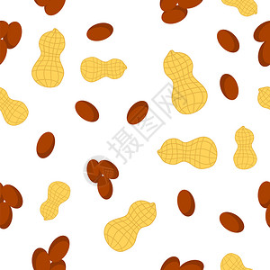 白背景上孤立的无味花生缝模式Nut种子Nut图片