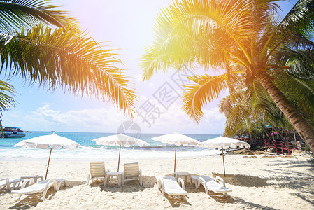 热带假日椰叶子棕榈树在海滩上蓝天空海和洋背景有阳光照亮的沙滩上阳光暑假自然在美丽的夏季风景中旅行沙上有椅滩伞图片