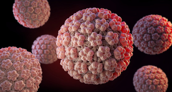人类瘤病毒(HPV)是瘤病毒家族的DNA病毒。背景图片