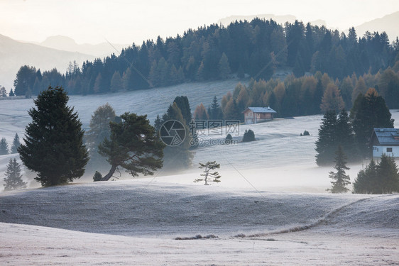 美丽的阿尔卑斯山地貌秋雾的清晨赛瑟阿尔姆佩迪西乌日出时与兰科夫尔山合影阿托迪格南蒂罗尔意大利欧洲图片