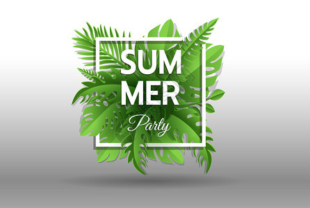 绿色夏季聚会热带背景有异国棕榈叶和植物矢量背景背景图片
