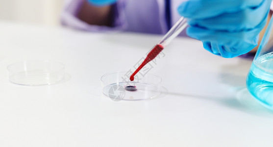 科学家持有罗纳新冠viruscovid19受感染的血液样本管DNA检测实验室中的血液使用样采集管和注射器新冠新冠19疫苗研究图片