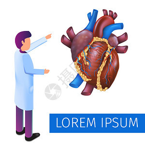 3d病媒心脏诊断医生研究说明预测人类心脏详细检查疾病未来保健技术图片