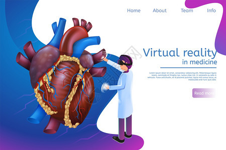 3d矢量说明医生使用虚拟现实眼镜研究心脏病诊断预测人类心脏详细检查疾病图片