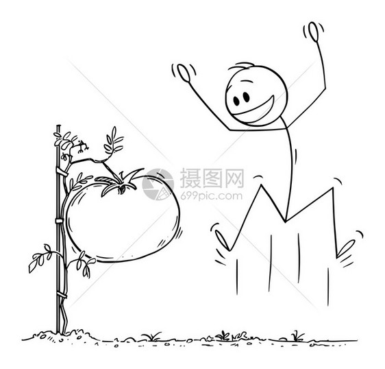 矢量卡通插图绘制人类或农民的概念插图跳跃和庆祝在自己的花园或农场植物上种大番茄或矢量卡通说明人或农民庆祝巨大番茄蔬菜在其花园或农图片
