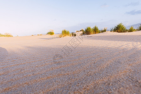 清晨阳光明媚的沙丘和海洋美丽的夏季风景和海洋图片