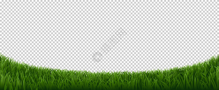 绿色草坪花园药植物框架新鲜草坪边框要素矢量背景横向草地绿化图例现实草地边界绿坪新鲜地边框要素矢量背景图片