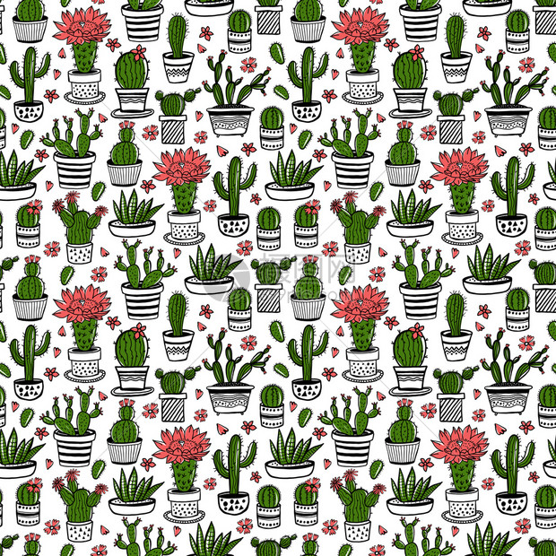 Cactus和succulant手绘的花架锅中面条花朵草图风格的手工和画无缝图案锅中的面条颜色花朵料中的图片