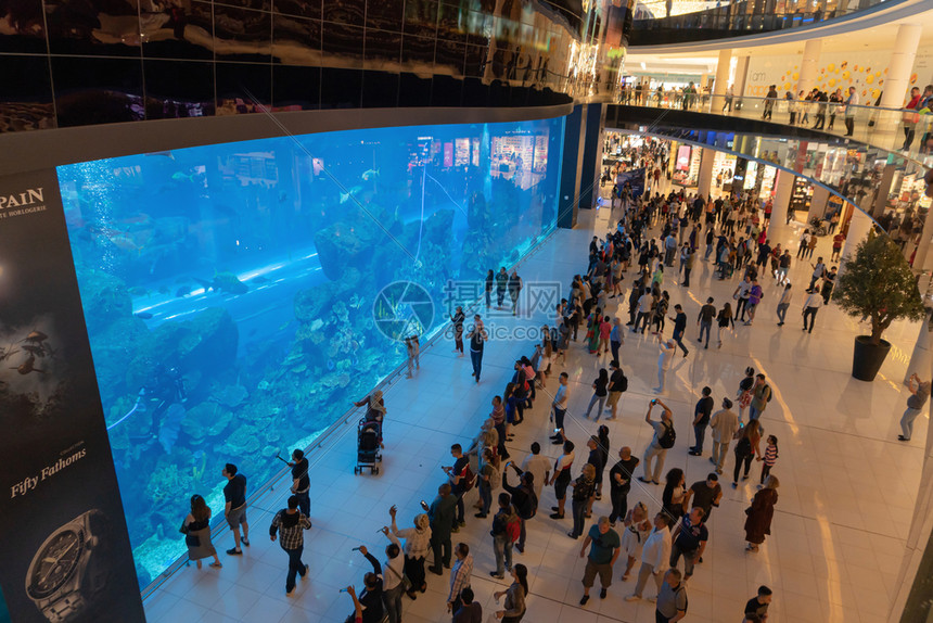 在迪拜市水族馆看鱼的人群这是世界和在迪拜阿拉伯联合酋长国和阿拉伯联合酋长国最大的购物中心或阿联酋内地与动物一起设计图片