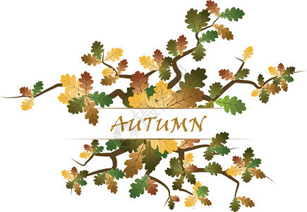 秋天树叶元素背景图片