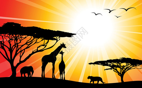 黄昏的非洲草原动物剪影卡通矢量插画图片