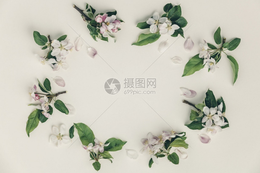 带有苹果花春背景顶部视图平板框架的创意春季布局横幅或模板框架包括苹果花框架高清图片下载 正版图片 摄图网