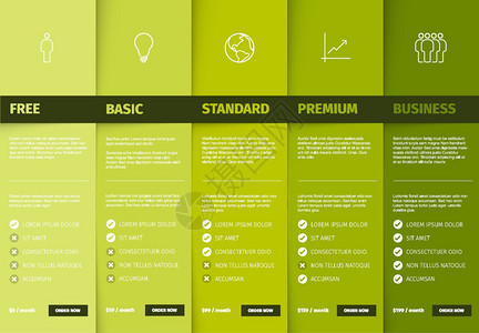 产品服务功能将列表模板与各种选项描述特征和价格绿色颜版本比较图片
