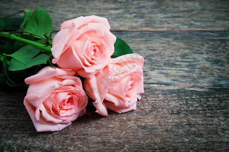 木桌上的粉红玫瑰图片