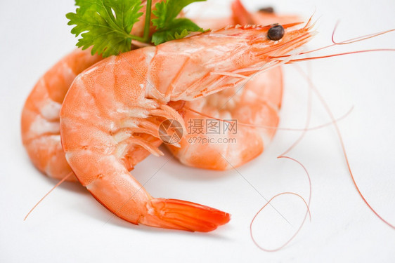 白盘上新鲜虾配有香成分煮海鲜图片