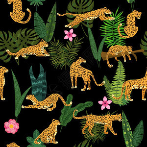 具有热带植物不同姿势的豹子图片
