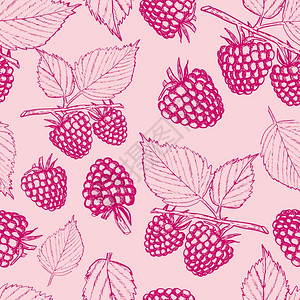 草莓无缝模式和粉红背景的叶子用于纺织品剪贴布服装设计草莓无缝模式的鲜树莓和粉红色背景的叶子用于纺织服装设计的典型风格矢量说明草莓图片