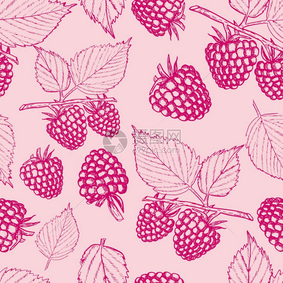 草莓无缝模式和粉红背景的叶子用于纺织品剪贴布服装设计草莓无缝模式的鲜树莓和粉红色背景的叶子用于纺织服装设计的典型风格矢量说明草莓图片