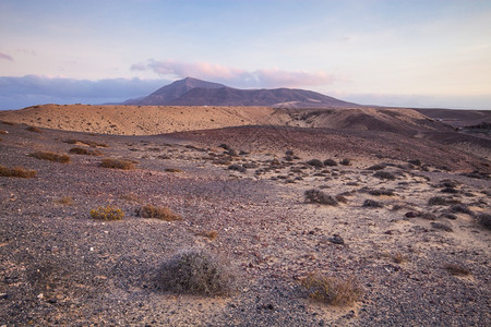 撒哈拉沙漠的日落突尼斯杜兹图片