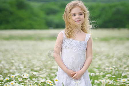 穿着大卡莫米尔草地的可爱小女孩肖像成分图片