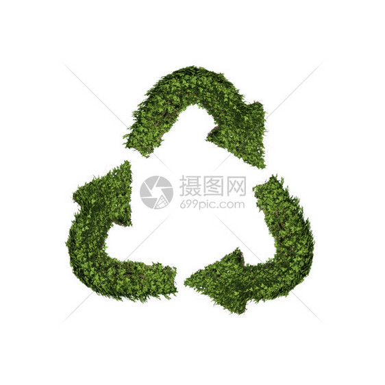 长春藤种植叶子绿色爬行树丛和以箭状符号形成循环的藤株在自然生长和态环境概念中以白色生长和态环境为孤立标志图片
