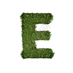白生长和态环境概念中孤立的E英文字母体符图片