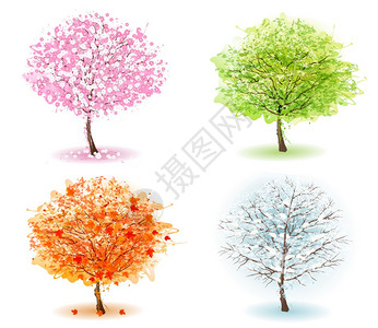 代表不同季节的四种颜色的树图片