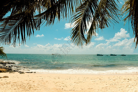 热带椰子叶树在海滩上棕榈蓝天空海洋云和旅游船背景暑假海和自然旅行冒险阳光照亮蓝天海洋云和旅游船背景暑假海和自然旅行冒险图片