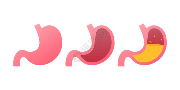 口腔器官图标人体内脏器官符号矢量存图例示图片