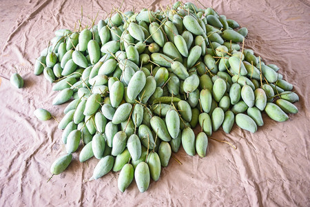 泰国水果市场出售的绿芒果来自树木农业的新鲜原生芒果收获图片