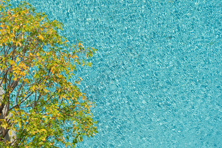 蓝色或绿宝石游泳池表面有清晰的水波和绿树夏季用于壁纸图片