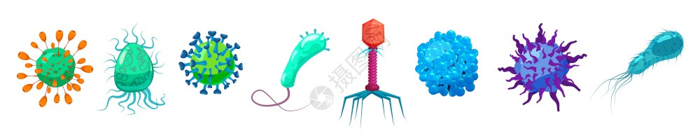 菌细微生物疾菌图片