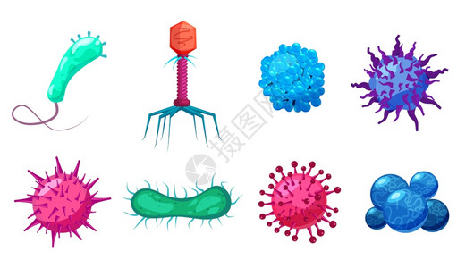 菌细微生物疾菌图片