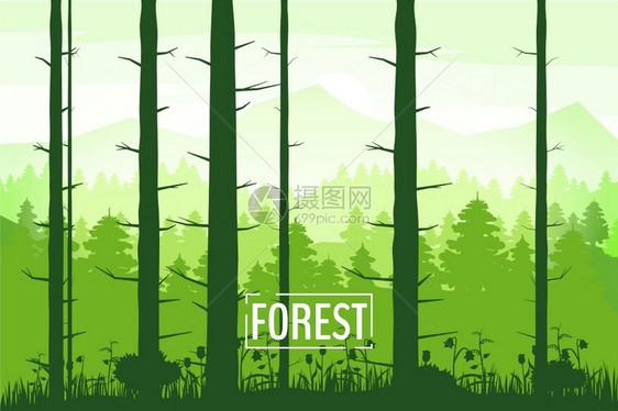 森林树干背影美景矢量插画图片