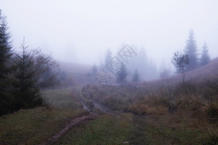 美丽的秋天乡村风景山和树木分布在惊人的色彩天空上喀尔巴阡山乌克兰美丽的秋天乡村风景山和树木分布在惊人的色彩天空上图片