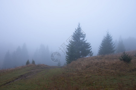 美丽的秋天乡村风景山和树木分布在惊人的色彩天空上喀尔巴阡山乌克兰美丽的秋天乡村风景山和树木分布在惊人的色彩天空上图片