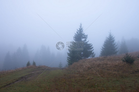 美丽的秋天乡村风景山和树木分布在惊人的色彩天空上喀尔巴阡山乌克兰美丽的秋天乡村风景山和树木分布在惊人的色彩天空上图片