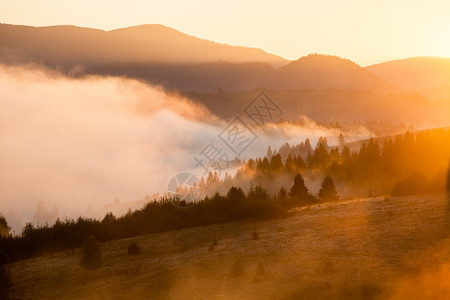 日出山上美丽的雾色风景美好的晨雾秋天山阳光照耀图片