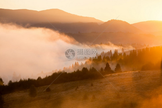 日出山上美丽的雾色风景美好的晨雾秋天山阳光照耀图片