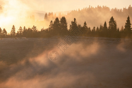 日出山上美丽的雾色风景美好的晨雾秋天山阳光照耀图片