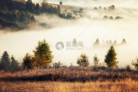 日出山上美丽的雾色风景美好的晨雾秋天山阳光照耀图片