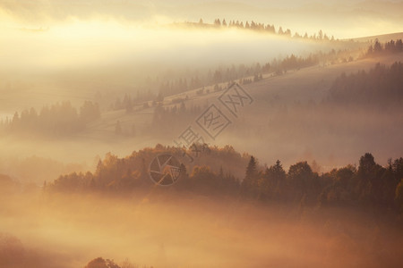 日出山上美丽的雾色风景美好的晨雾秋天山阳光照耀图片