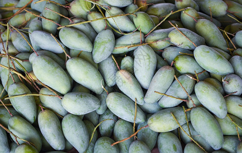 泰国水果市场出售的绿芒果从树种农业中收获的新鲜原生芒果质地图片