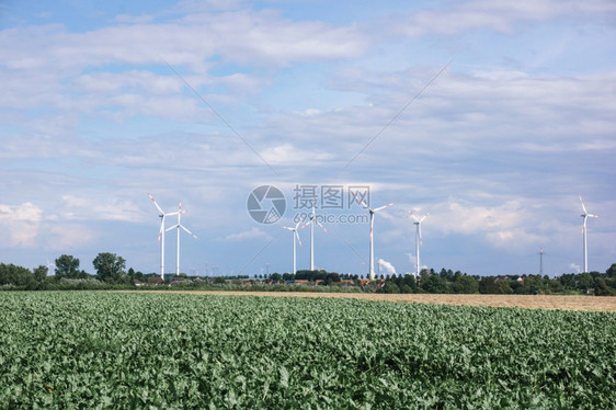 村附近有风车图片