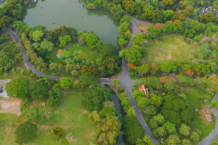 Lumpini公园花绿树的空中顶层景象和反射智能城市绿色生态区泰国曼谷中午环境自然景观背图片