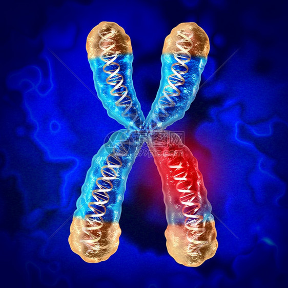 遗传疾病和染色体或DNA损害作为一种科学和生物概念3D制成的受损害基因图片